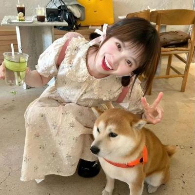 梦想成真粤语